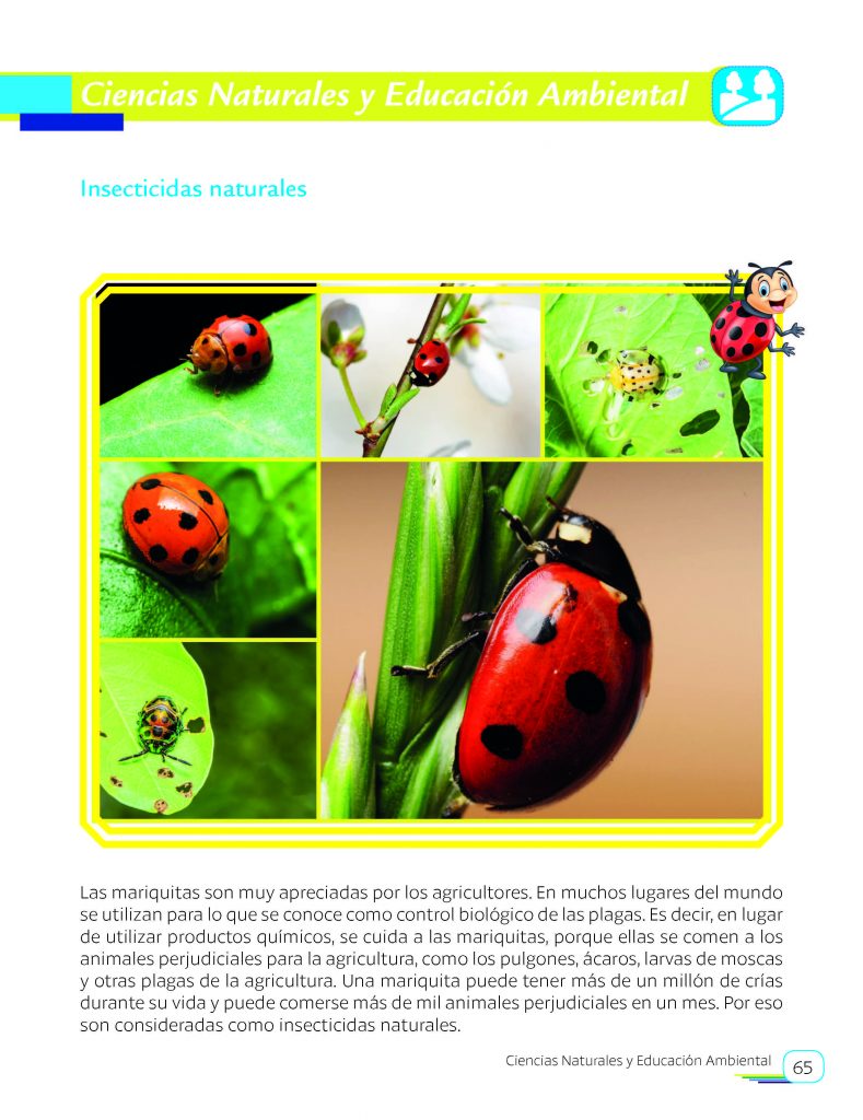 Comprensión lectora con actividades en áreas transversales