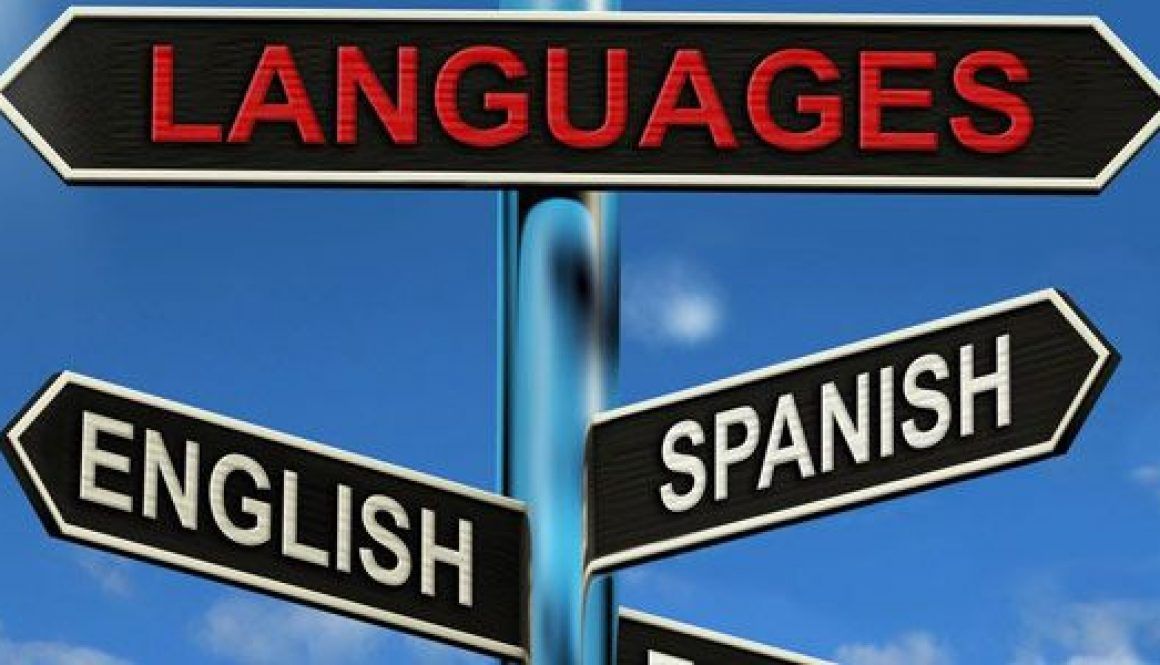 English To Spanish Translation Sentences Worksheets For Adults